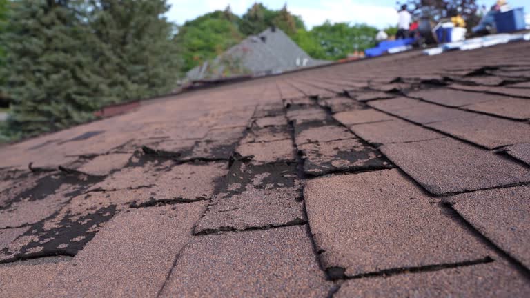 Best Sheet Metal Roofing  in Americus, GA