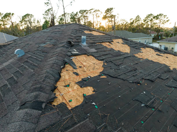 Professional Roofing Service in Americus, GA